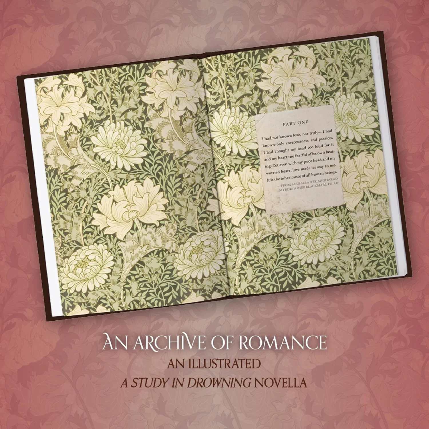 An Archive of Romance Deluxe Illustrated Edition: A Study in Drowning Novella - Image 5