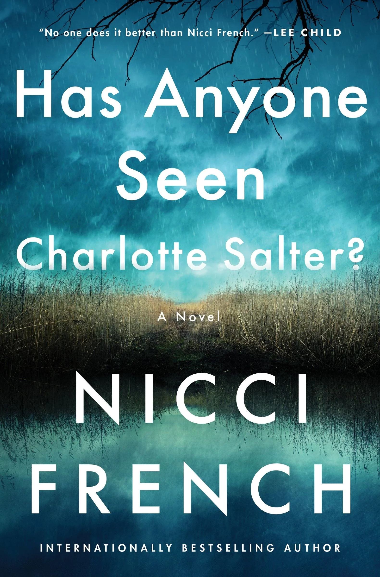 Has Anyone Seen Charlotte Salter?: A Novel - Image 2
