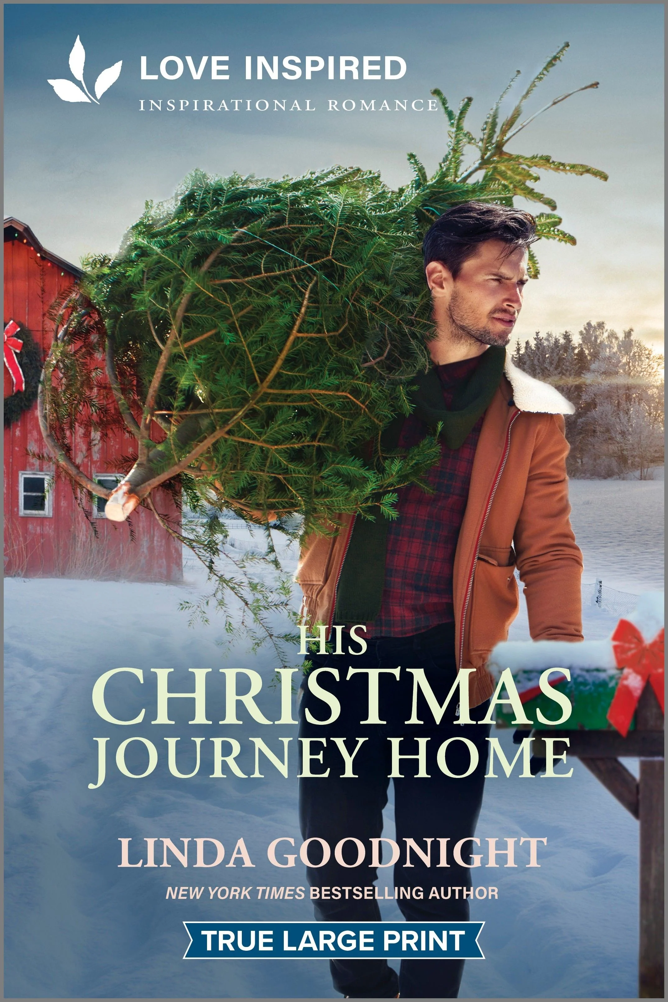 His Christmas Journey Home