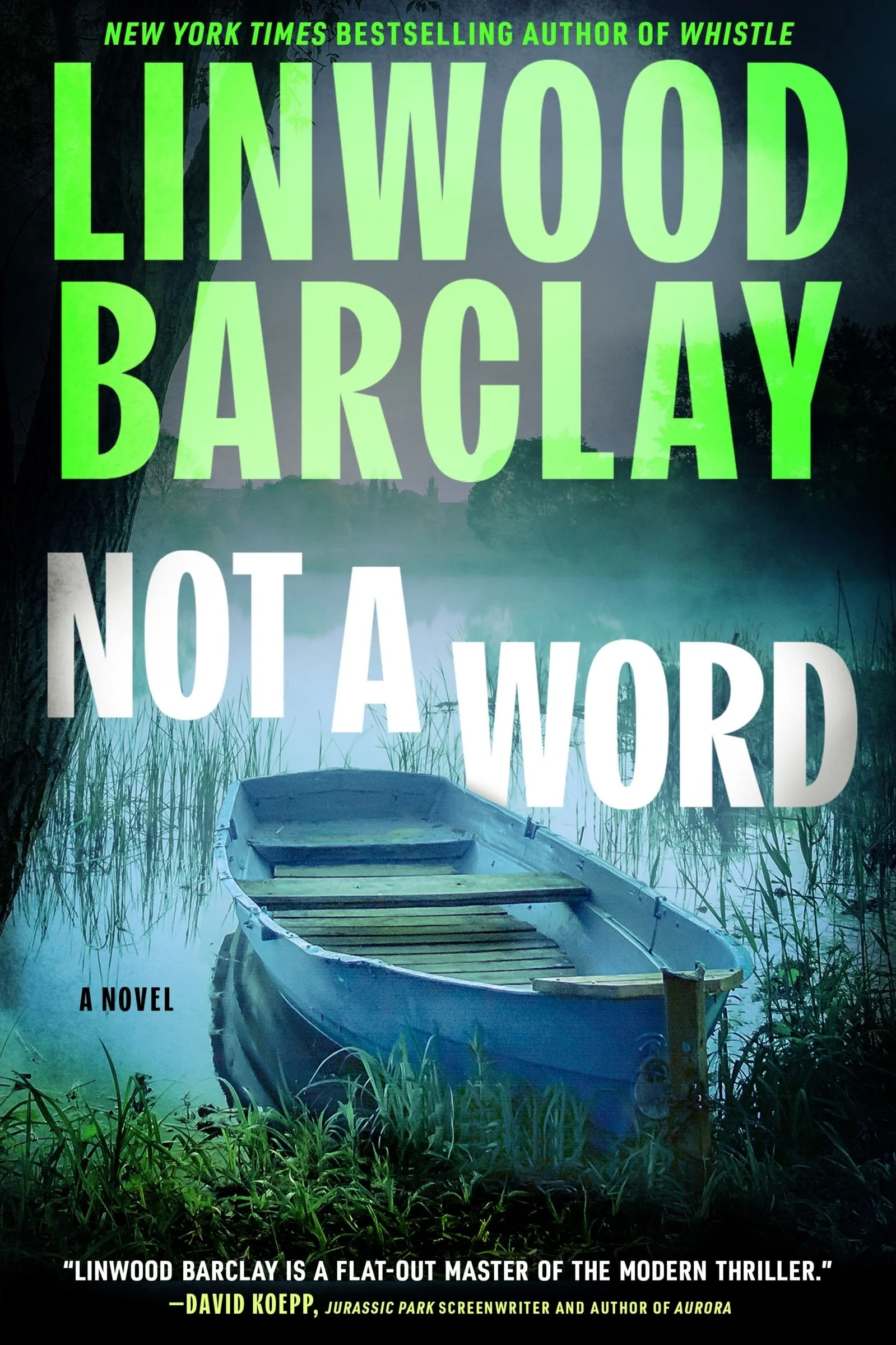 Not a Word: A Novel