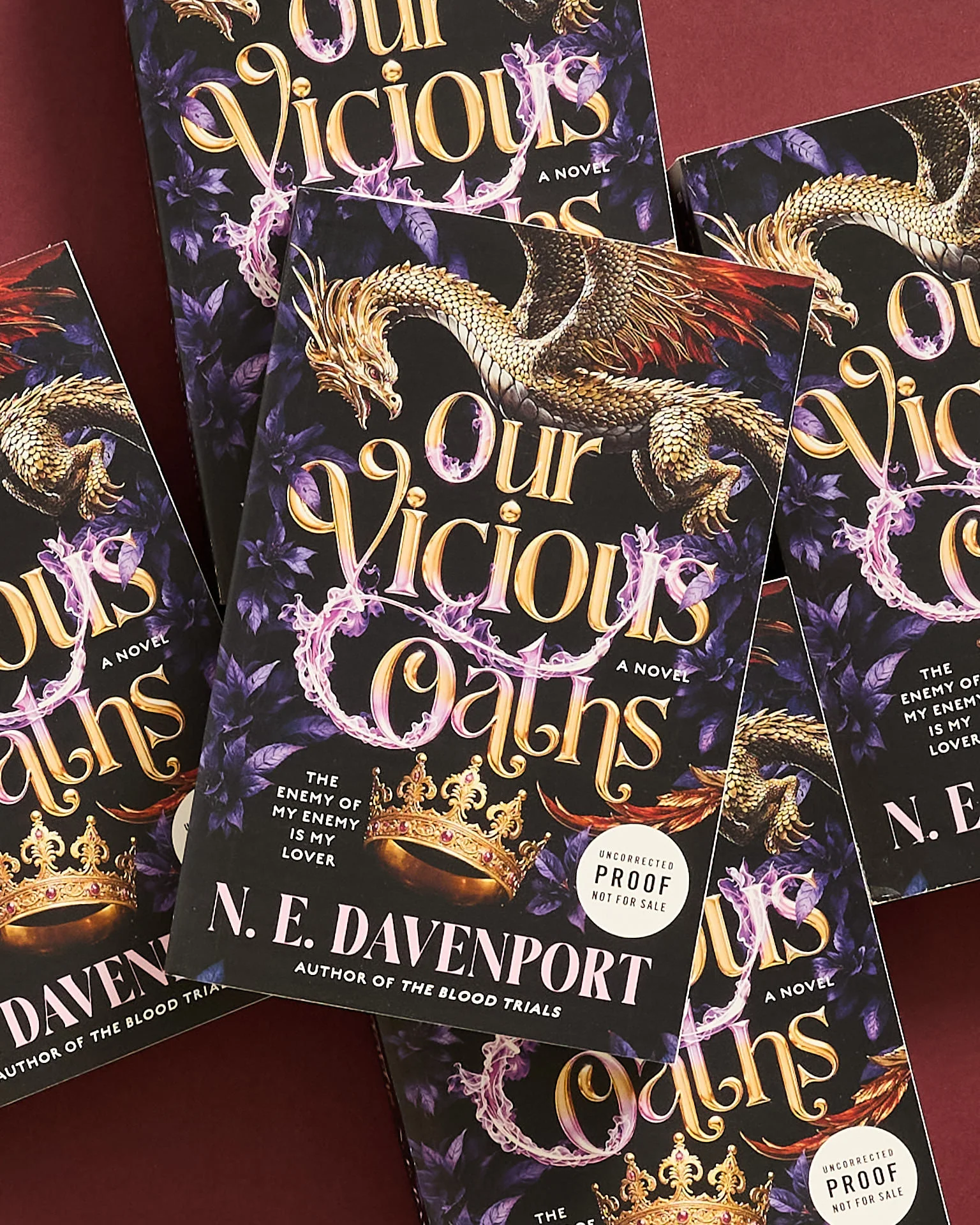 Our Vicious Oaths: A Novel - Image 3