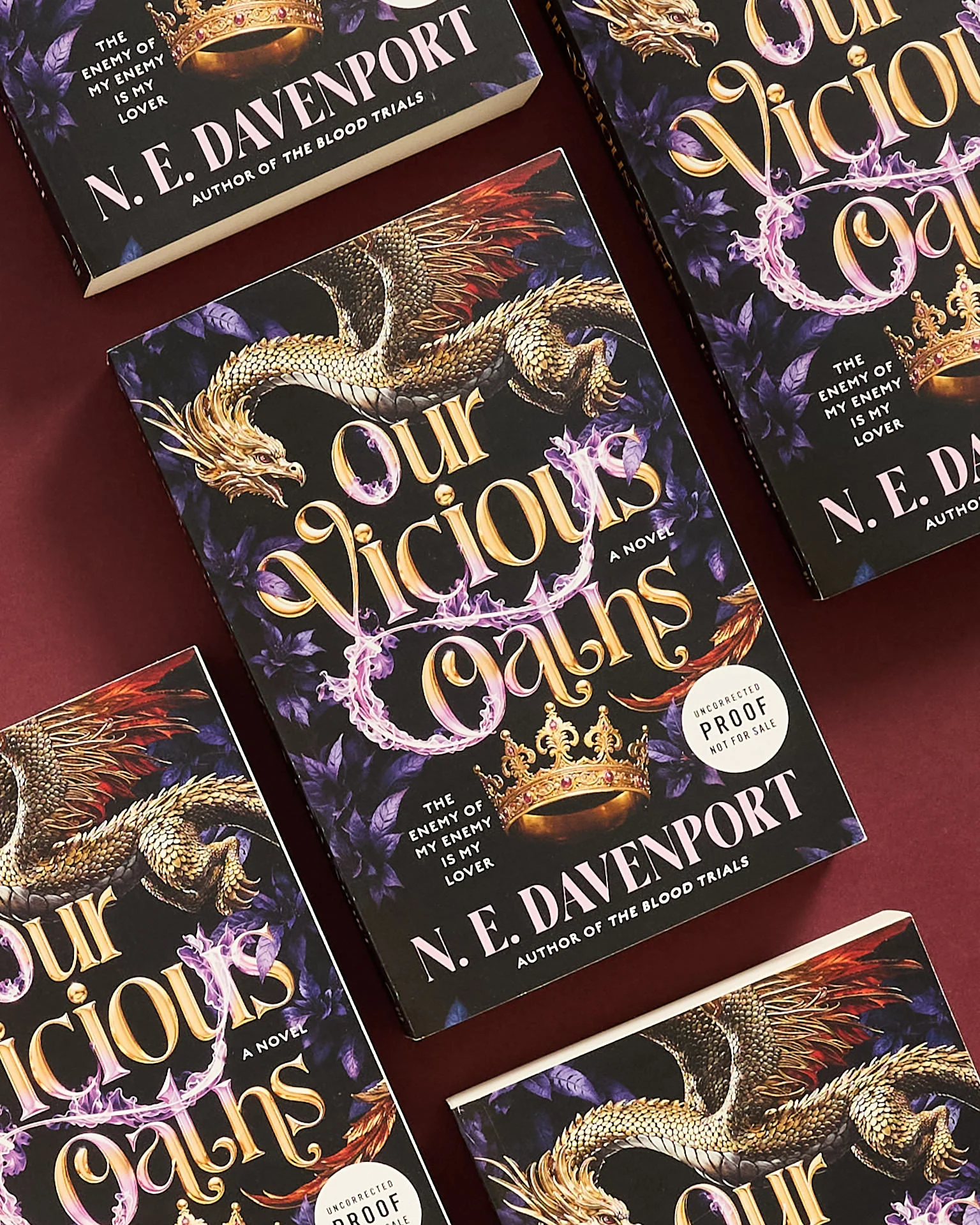 Our Vicious Oaths: A Novel - Image 4