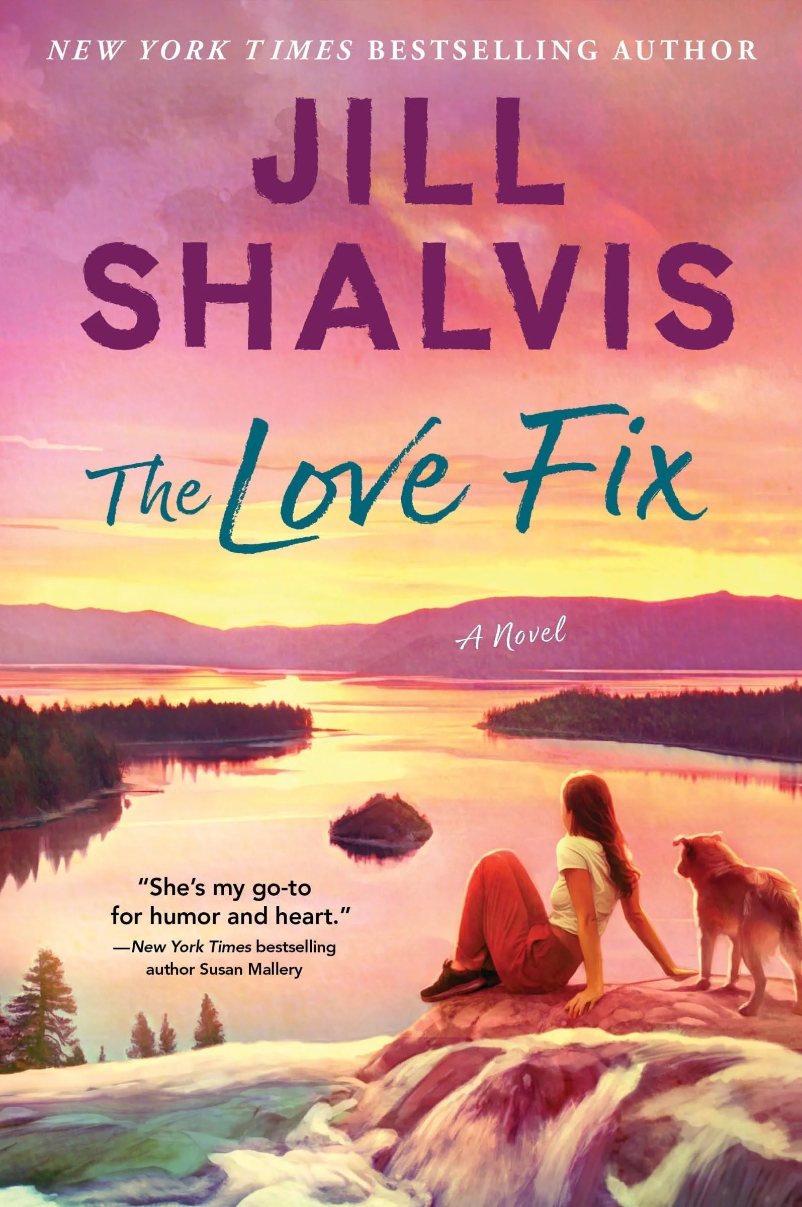 The Love Fix: A Novel