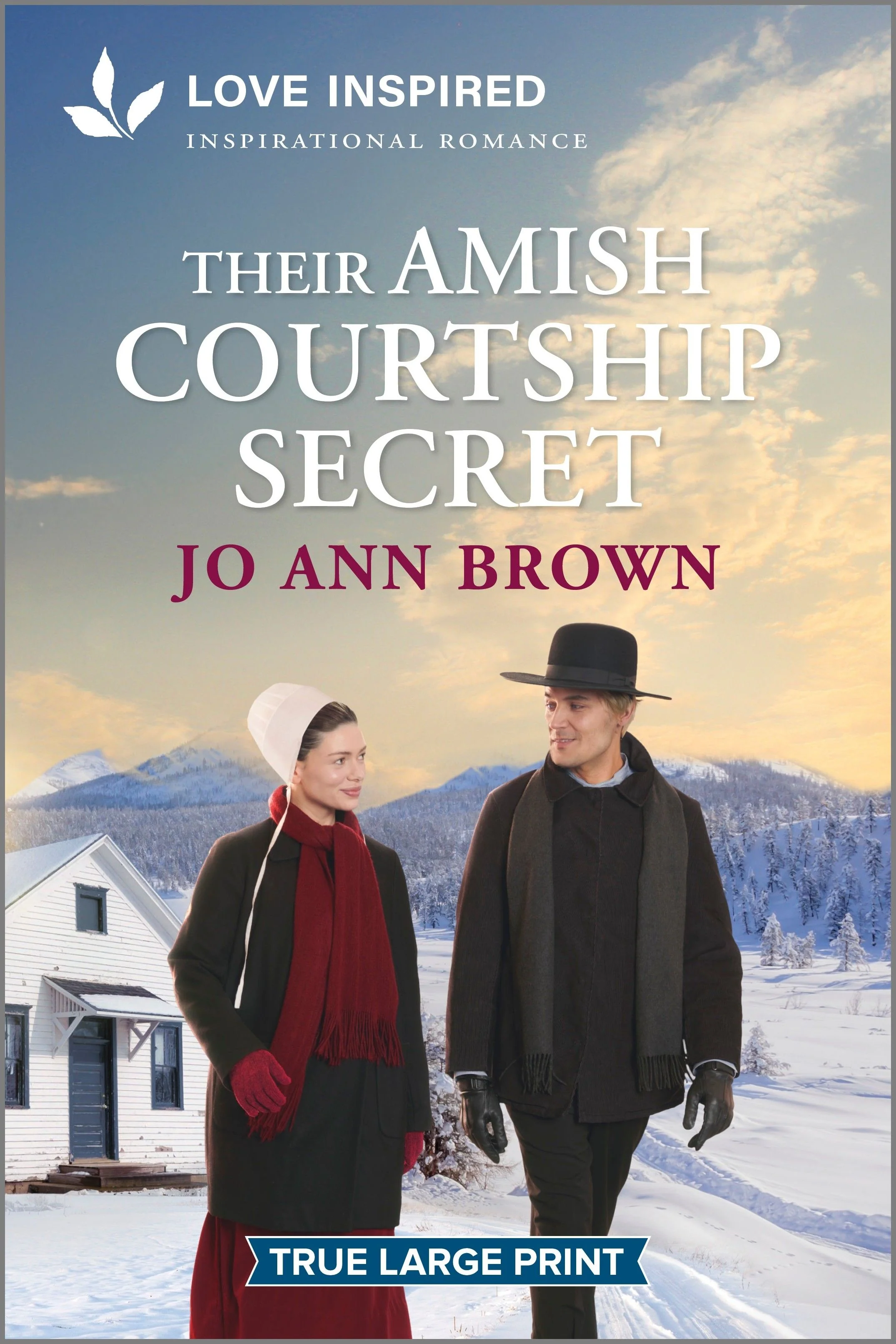Their Amish Courtship Secret